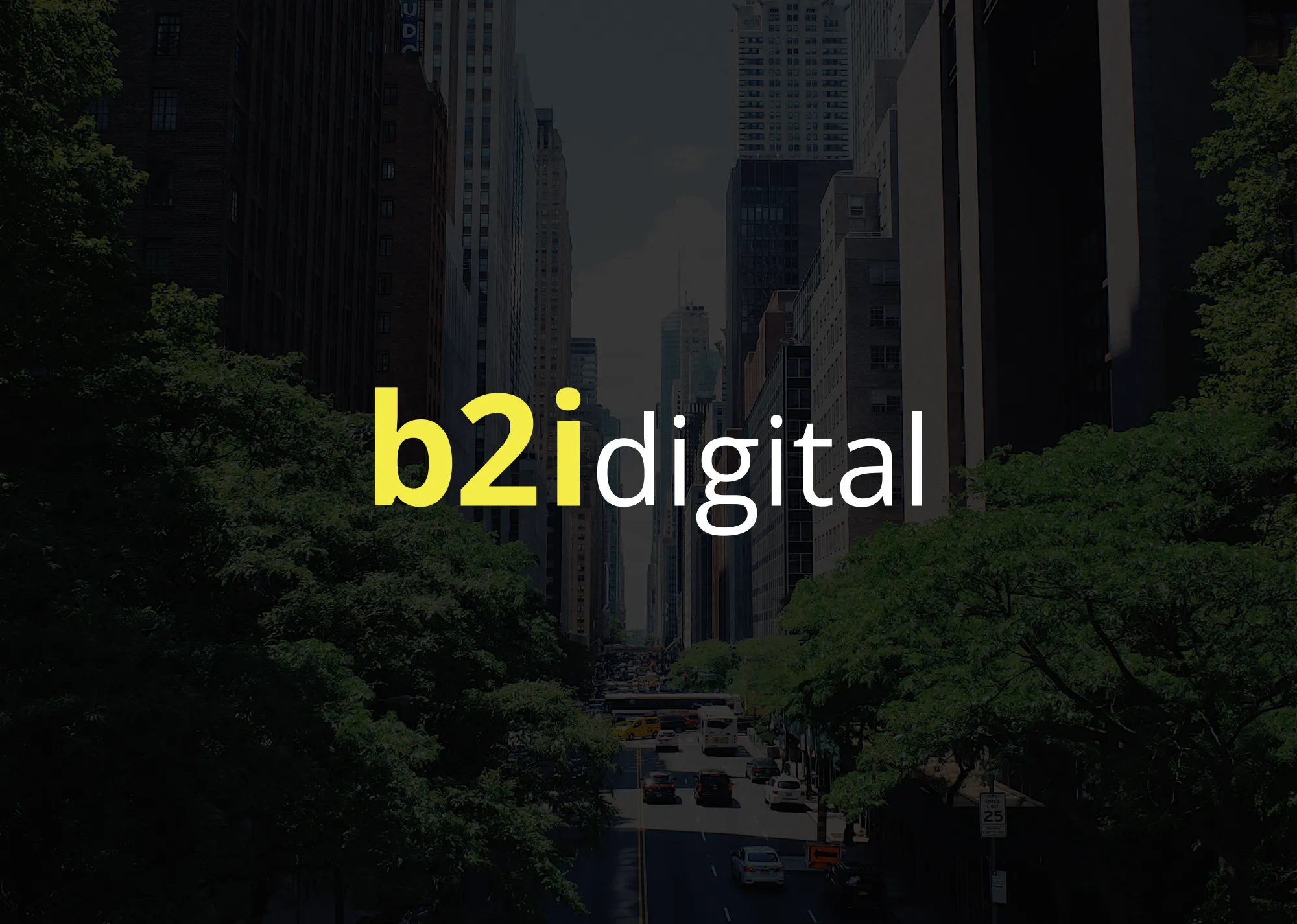 B2i Digital -- Connecting Companies And Investors Through Digital Marketing